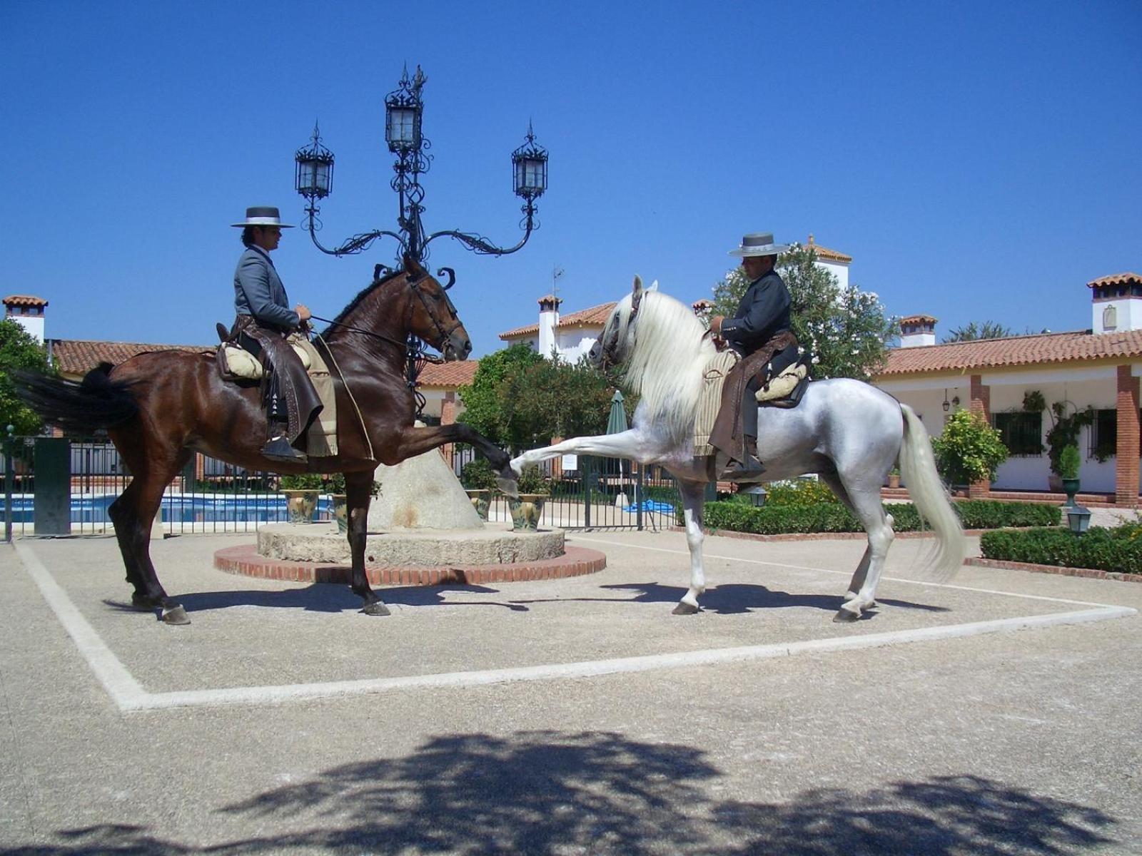 Апартаменти Cortijo De Frias Кабра Екстер'єр фото